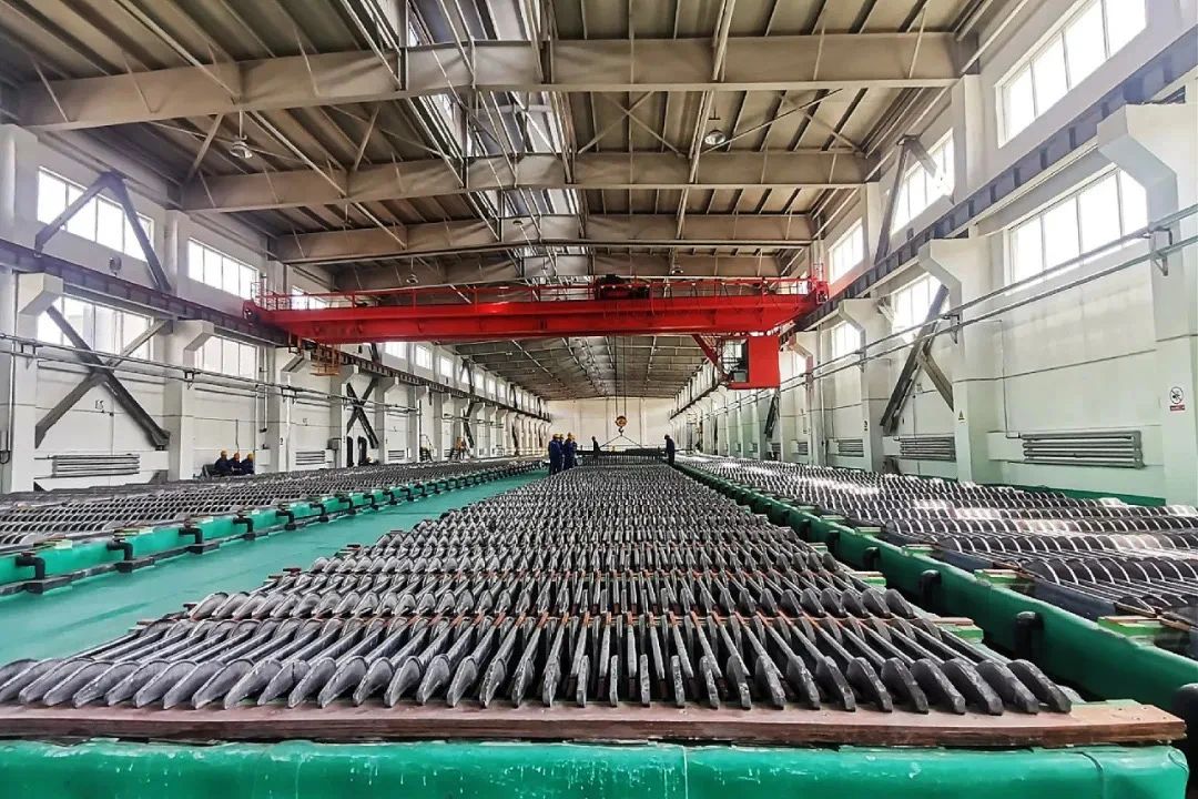 1708492119629242.jpeg 6.jpeg