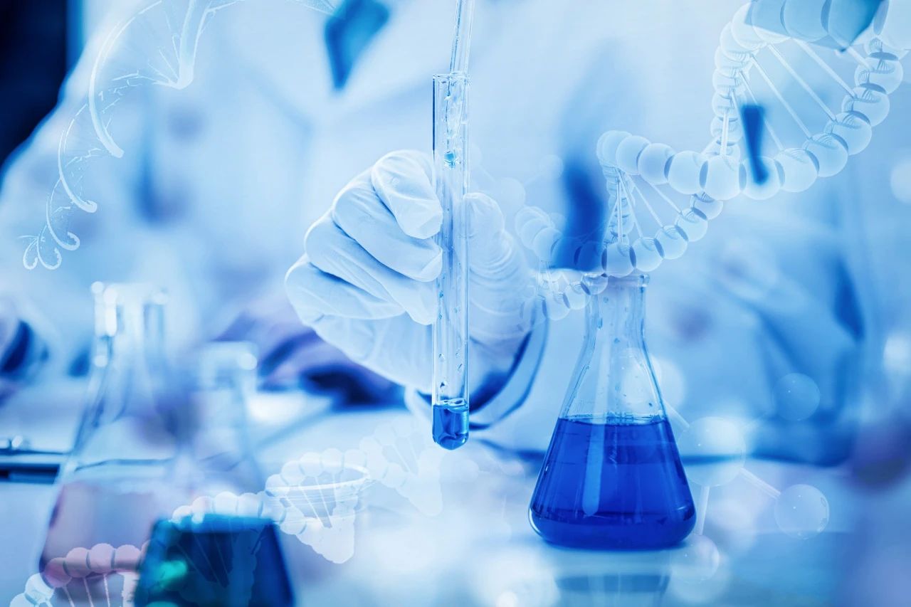 1708492321613878.jpeg 8.jpeg