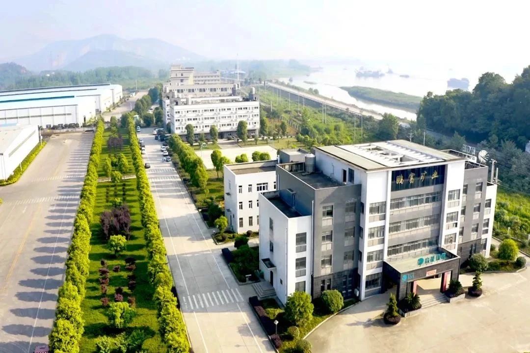 1730700624573853.jpg 2.jpg